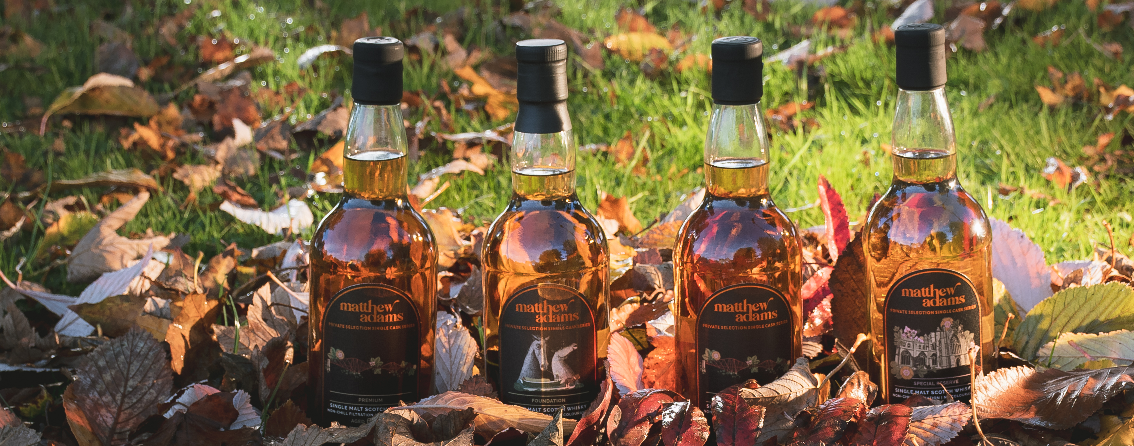 Fine Wine & Whisky Banner Image