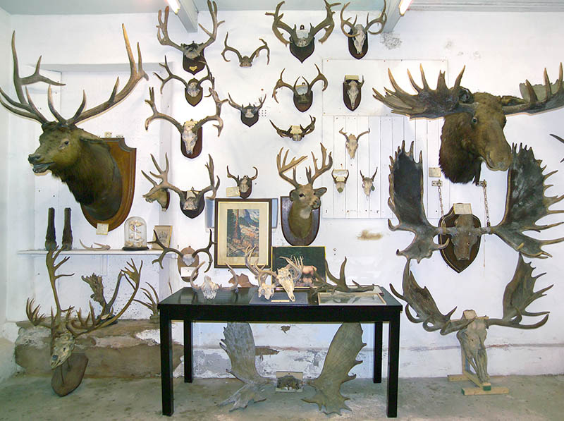 Kenneth Whitehead Image