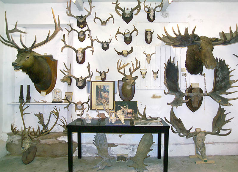 Kenneth Whitehead Image