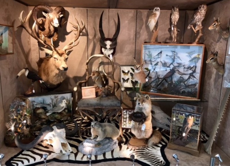 The Art of the Natural World