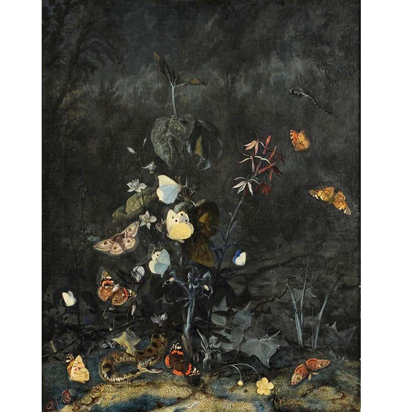 Otto Marseus Van Schrieck (1619-1698), Dutch, ‘Butterflies and a snake in foliage and undergrowth’