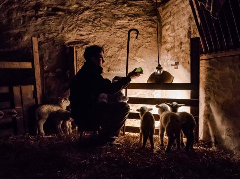 British Life Photography Awards