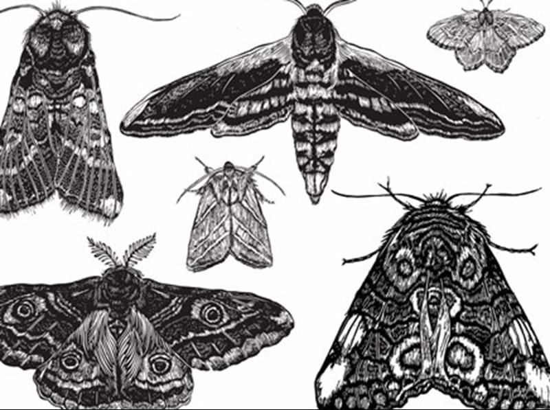 The Art of the Print