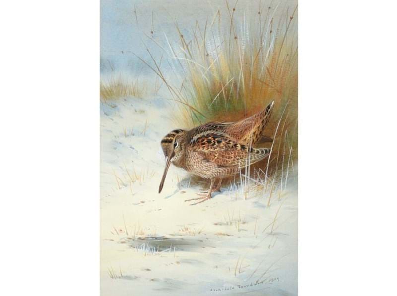 The Sporting Art Sale