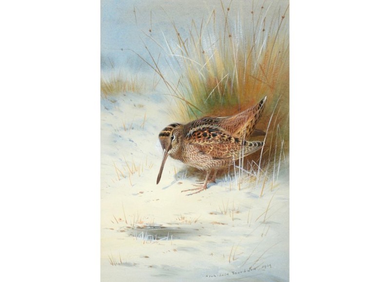 The Sporting Art Sale