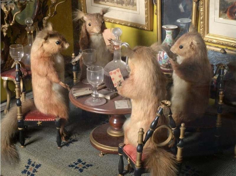 Anthropomorphic Taxidermy