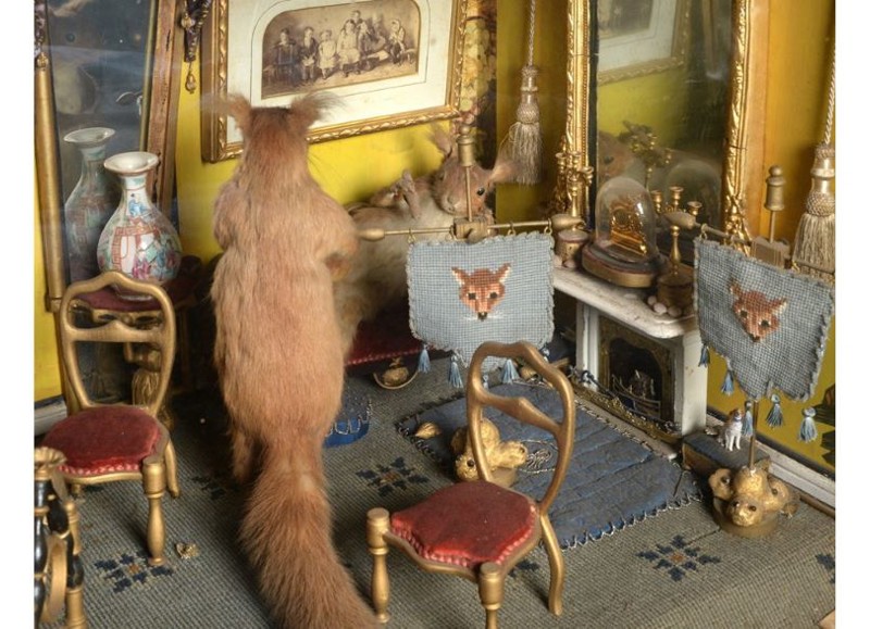 Bidders Go Nuts for Card Playing Squirrels