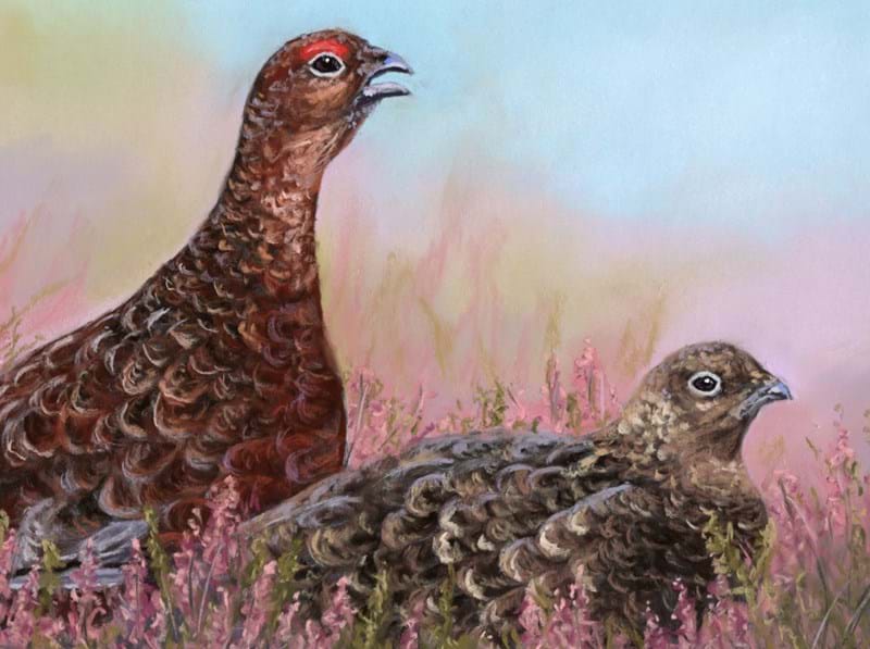 Exhibition: Jo Garlick