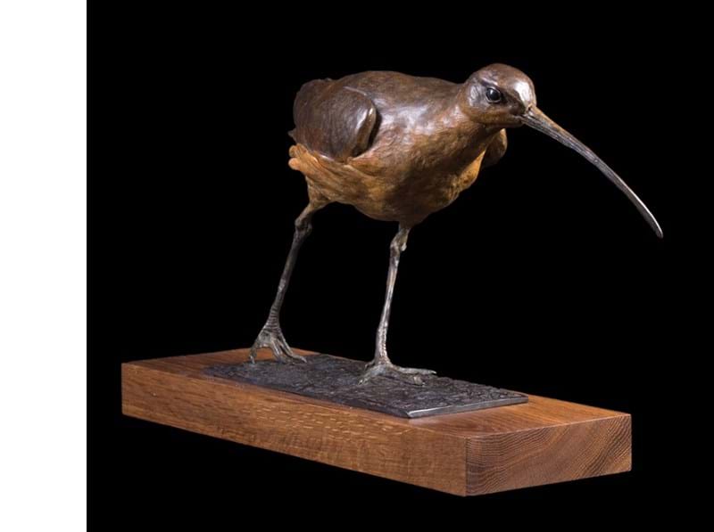 Exhibition: Sarah Cemmick & David Cemmick