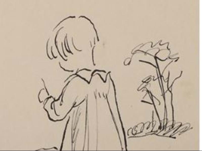 Classic Children's Literature Excels in Book Sale