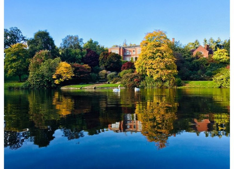 Results: The Historical Collection of Natural History and Taxidermy from Hodnet Hall