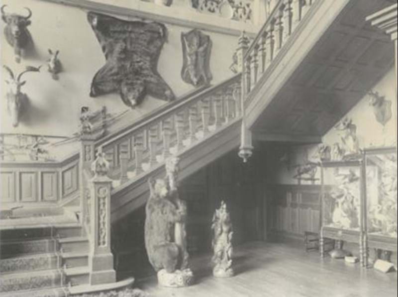 A Historical Collection of Natural History and Taxidermy from Hodnet Hall