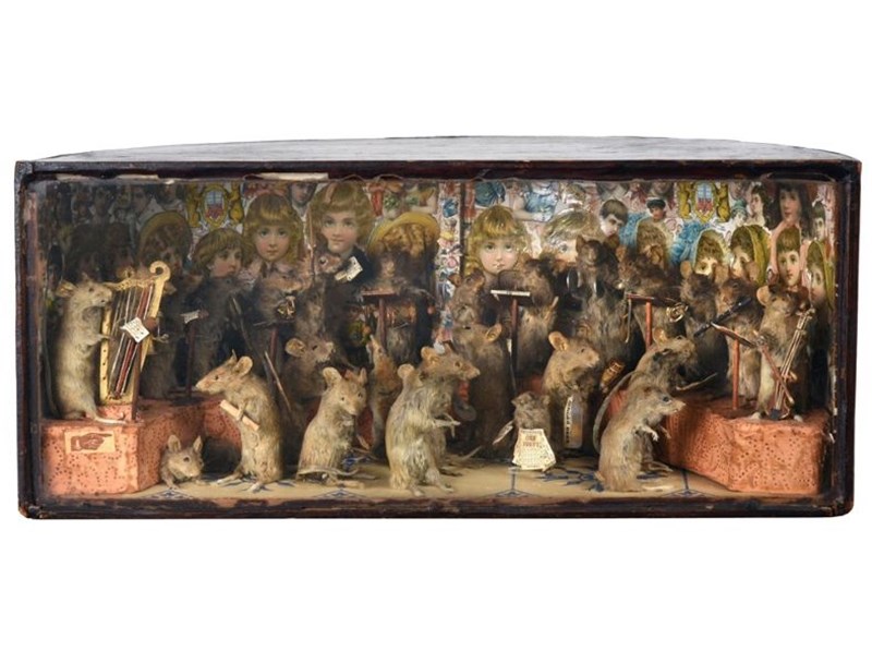 Results: Natural History & Taxidermy Sale