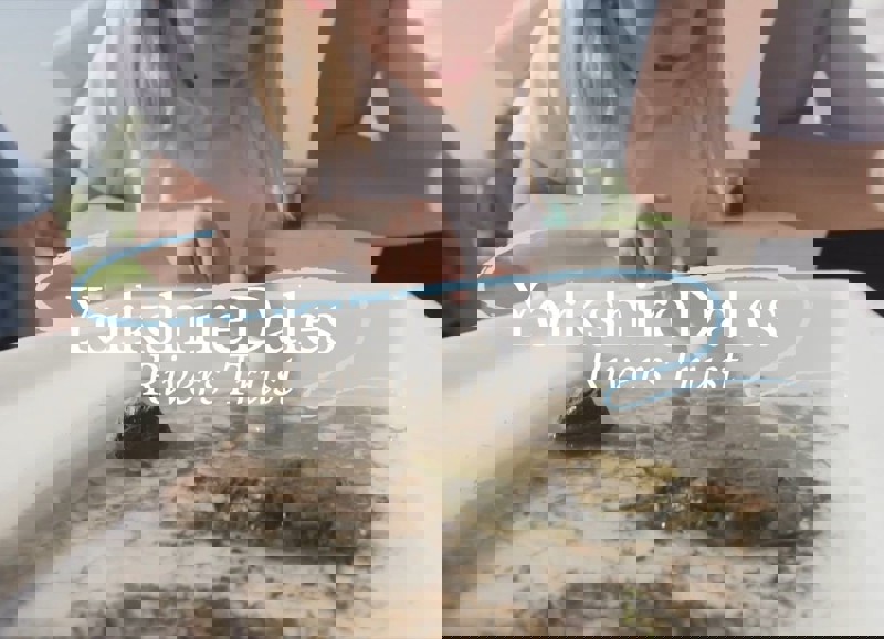 Charity Auction: Yorkshire Dales Rivers Trust