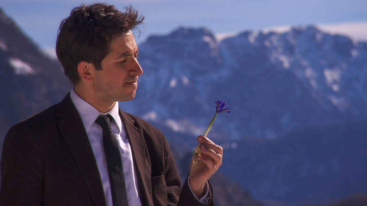 Talk: Dr James Fox 'The World According to Colour' | Tennants Auctioneers