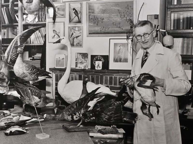 The James Harrison Collection of Birds