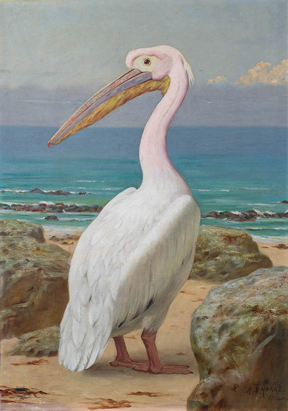 Henry Stacy Marks RA (1829-1898) "Pelican"
