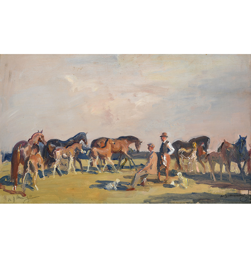 Sir Alfred Munnings KCVO, PRA, RI (1878-1959) "Lord Astor on shooting stick with horses"