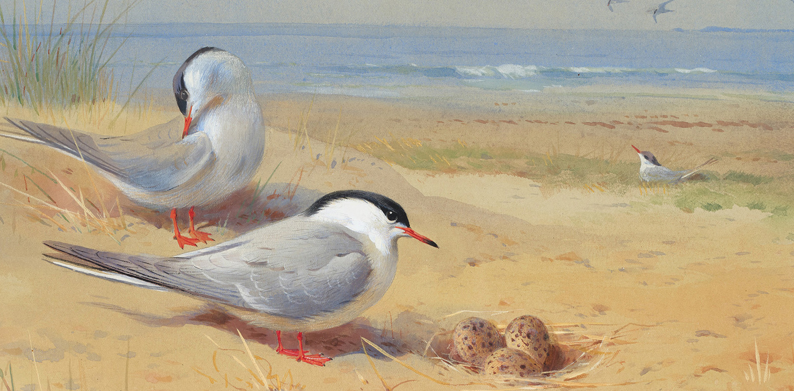 British, European & Sporting Art Sale Banner Image